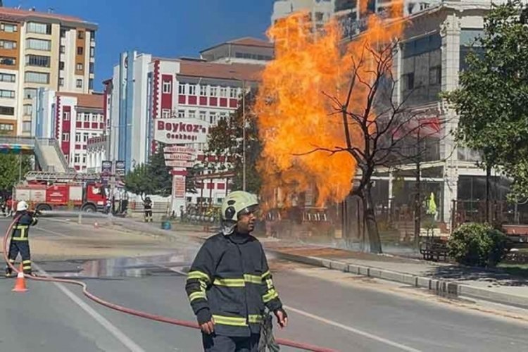 Niğde'de doğalgaz borusu patladı! 1 kişi yaralandı