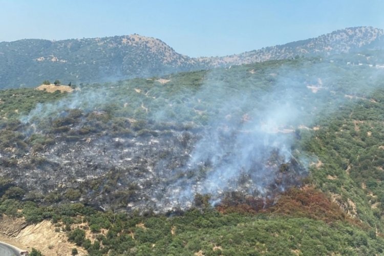 İzmir'deki orman yangını kontrol altında