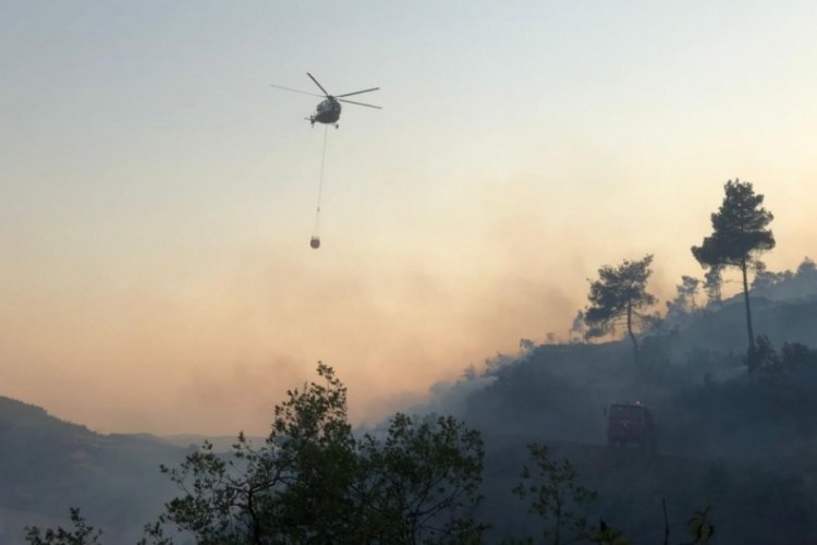 Bilecik'te &ccedil;ıkan orman yangını kontrol altına alındı