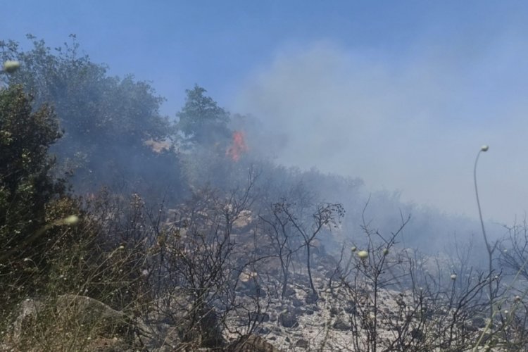 Bursa'da olası bir orman yangını faciası ucuz atlatıldı