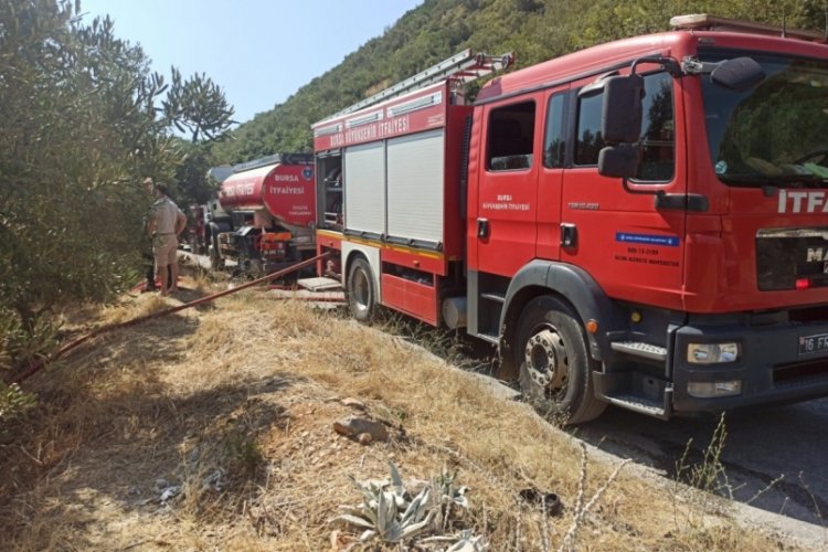 Bursa'da Orhangazi'de bu kez zeytinliklerde yangın &ccedil;ıktı!