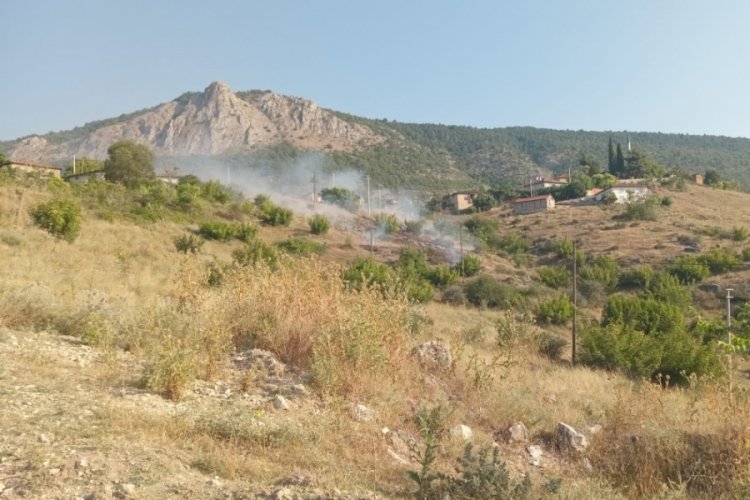Bilecik'te kopan elektrik telleri yangına neden oldu