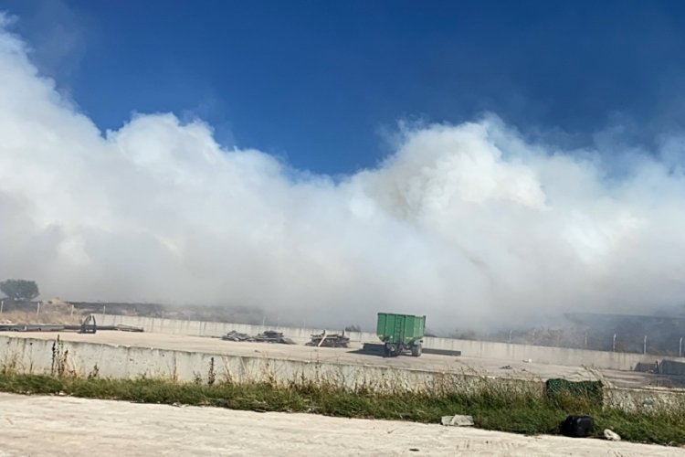 Edirne'de anız yangını