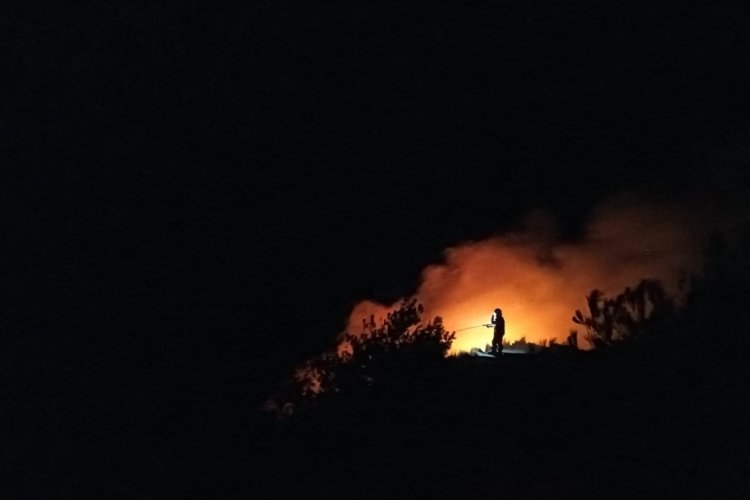 Hatay'da makilik alanda yangın
