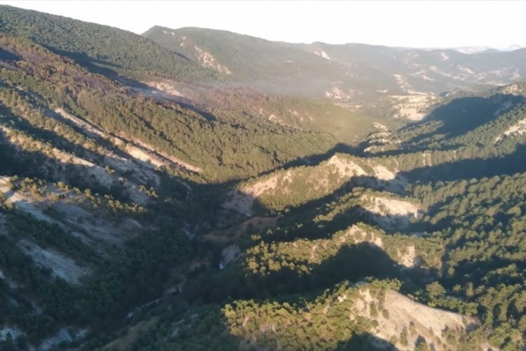 Bilecik'teki yangın kontrol altına alındı