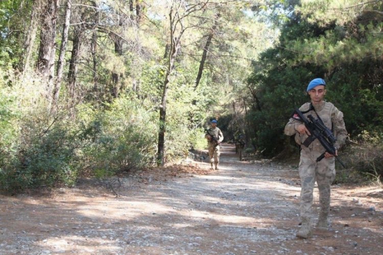 Aydın'da ormanlık alanlar havadan ve karadan denetlendi