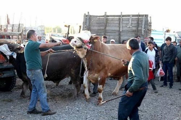 &Ccedil;orum'da 15 k&ouml;y karantinaya alındı