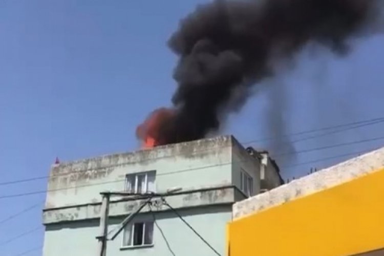 Bursa'da binanın &ccedil;atı katındaki kuş k&uuml;mesinde yangın &ccedil;ıktı!