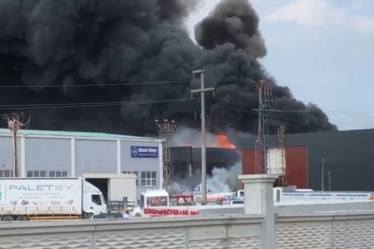 Tekirdağ'da kimya fabrikasında yangın!