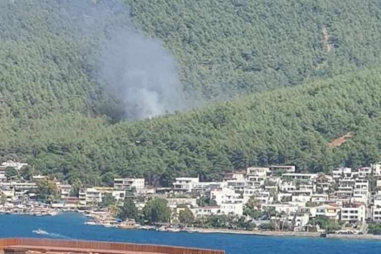 Bodrum'da orman yangını! M&uuml;dahale ediyor