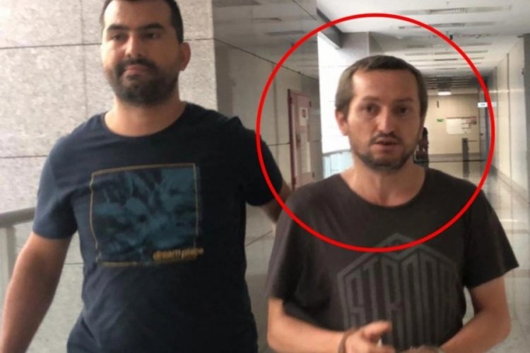 İstanbul'da kedilere kezzap ve asit atarak işkence eden şahıs tutuklandı