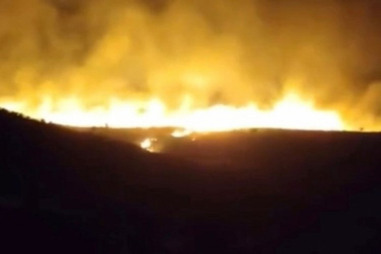 Karacadağ Bal Ormanı'nda yangın &ccedil;ıktı!
