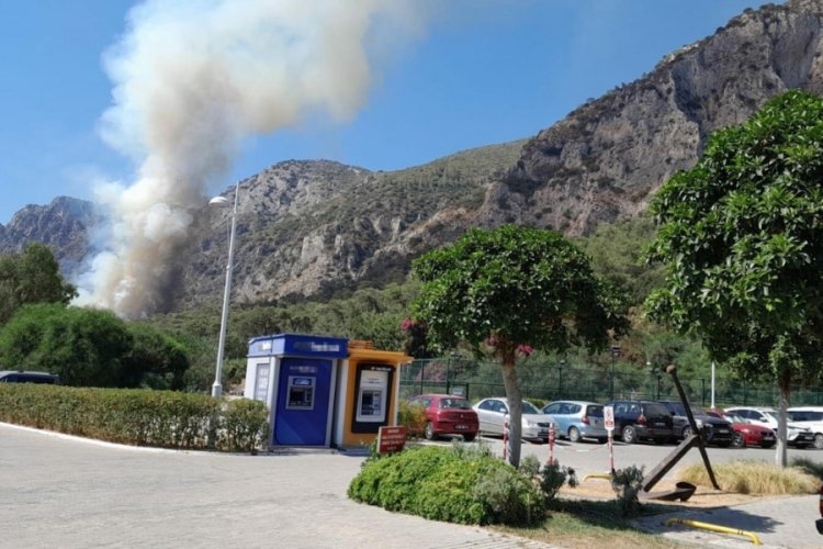 Muğla Milas'ta orman yangını