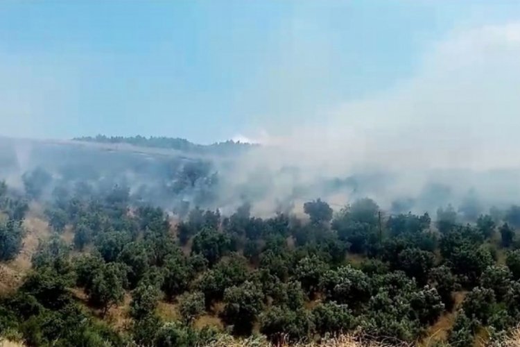 Bursa'da makilik alanda yangın &ccedil;ıktı! Kısa s&uuml;rede s&ouml;nd&uuml;r&uuml;ld&uuml;