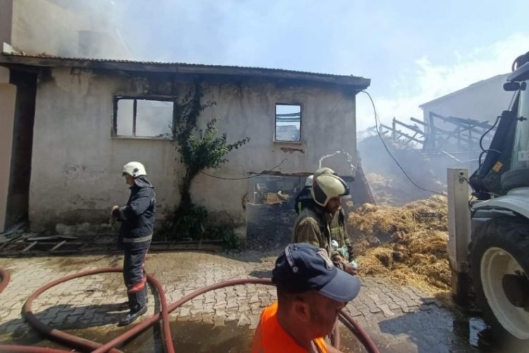 Bursa'da korkutan yangın!
