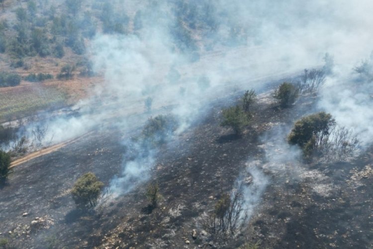 Manisa'da makilik alanda &ccedil;ıkan yangın kontrol altında!