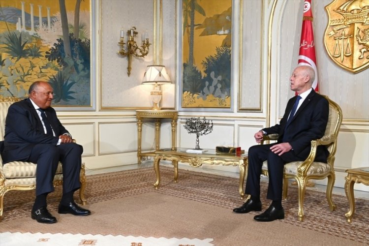 Tunus Cumhurbaşkanı Said, Mısır Dışişleri Bakanı Şukri ile ikili ilişkileri g&ouml;r&uuml;şt&uuml;
