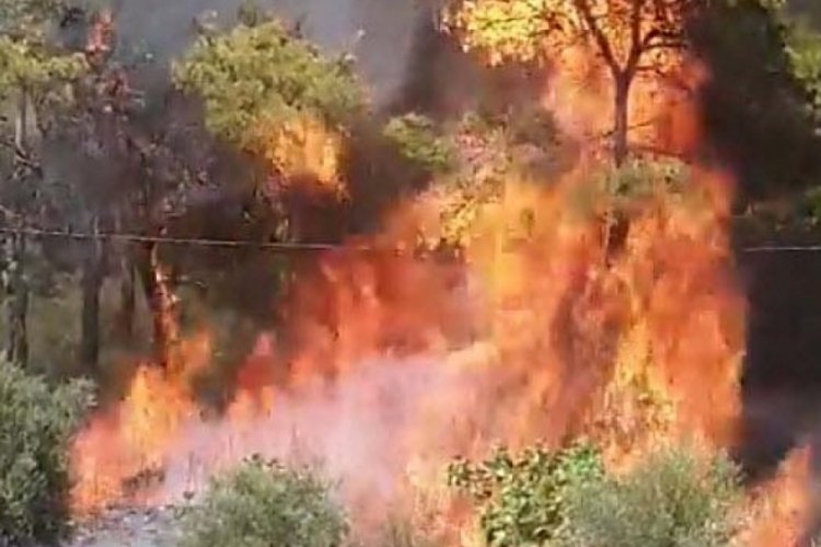 Muğla'daki yangının &ccedil;ıkış anına ait g&ouml;r&uuml;nt&uuml;leri ortaya &ccedil;ıktı!