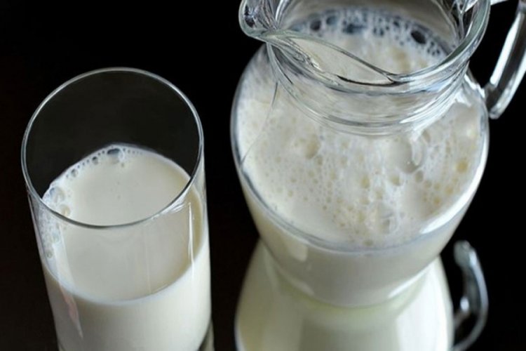 Toplanan inek s&uuml;t&uuml; miktarı Haziran'da arttı