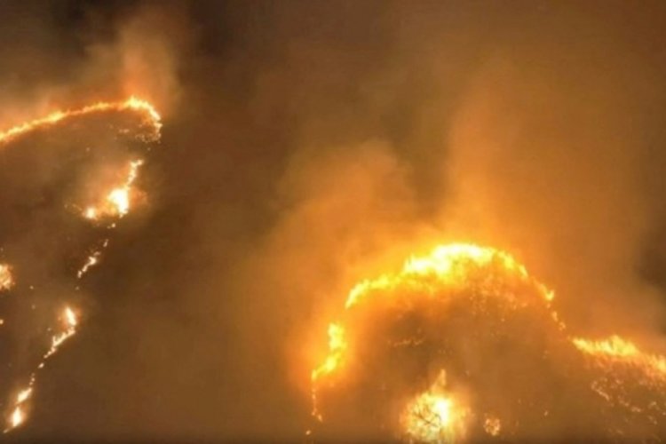 ABD'nin Hawai eyaletinde orman yangını! 6 kişi hayatını kaybetti