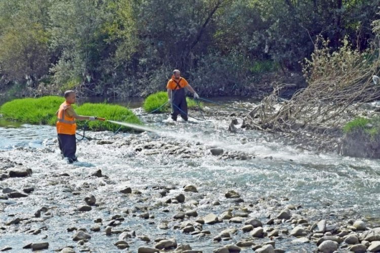 Karab&uuml;k'te artan sivrisineklere karşı ila&ccedil;lama yapılıyor