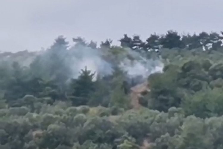 Bursa'da makilik alanda yangın &ccedil;ıktı! &Ccedil;amlık alana sı&ccedil;radı