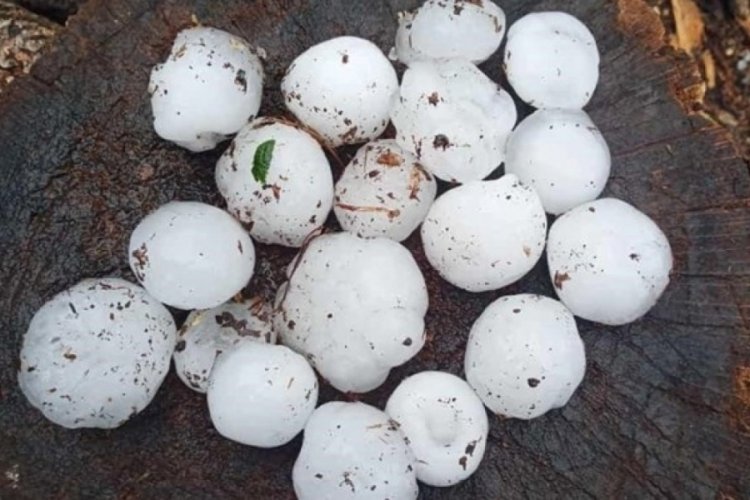 Kastamonu'da ceviz b&uuml;y&uuml;kl&uuml;ğ&uuml;nde dolu yağdı
