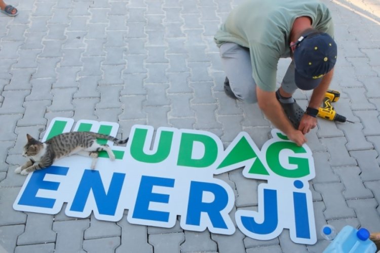 Uludağ Enerji Hatay'da sokak hayvanlarının ihtiya&ccedil;larını gideriyor