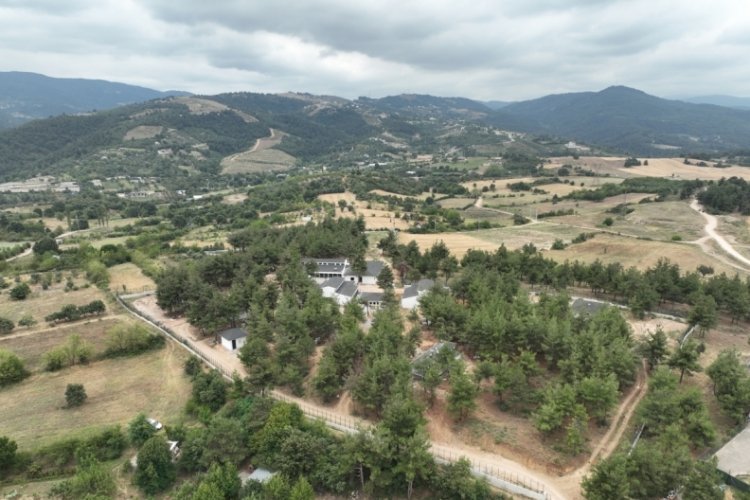 Bursa'da Sokak Hayvanları Rehabilitasyon Merkezi'nde &ccedil;alışmalar hızlandı