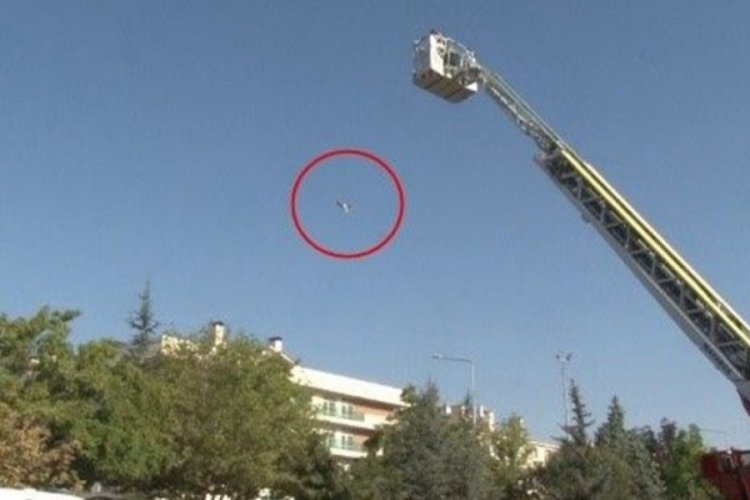 Konya'da intihardan vazge&ccedil;mek i&ccedil;in kedisini istedi! Metrelerce y&uuml;ksekten atıp &ouml;ld&uuml;rd&uuml;