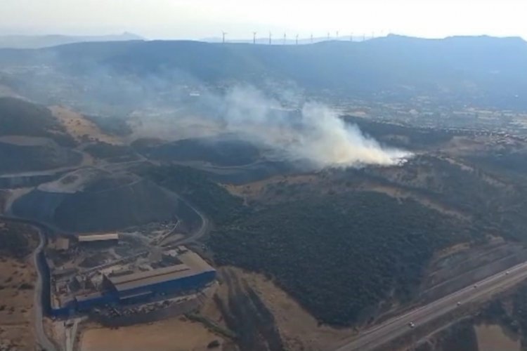 İzmir Aliağa'da makilik alanda yangın