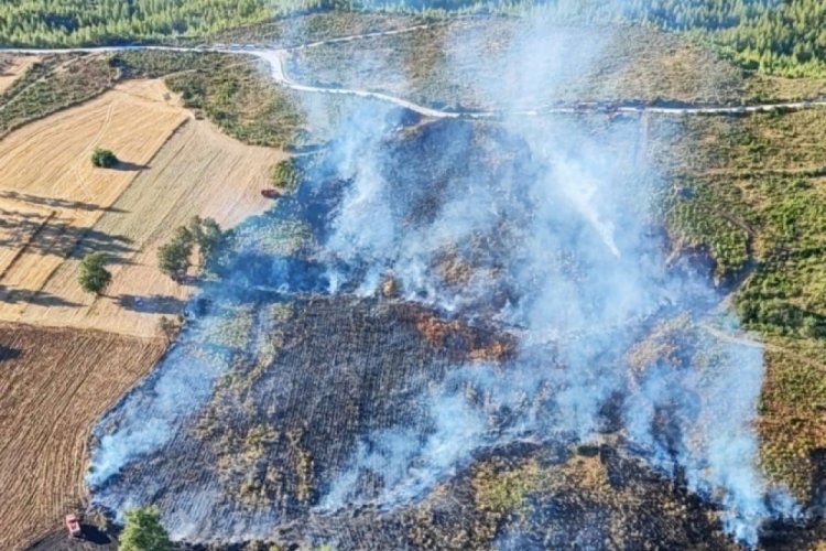Burdur'da orman yangını kontrol altında