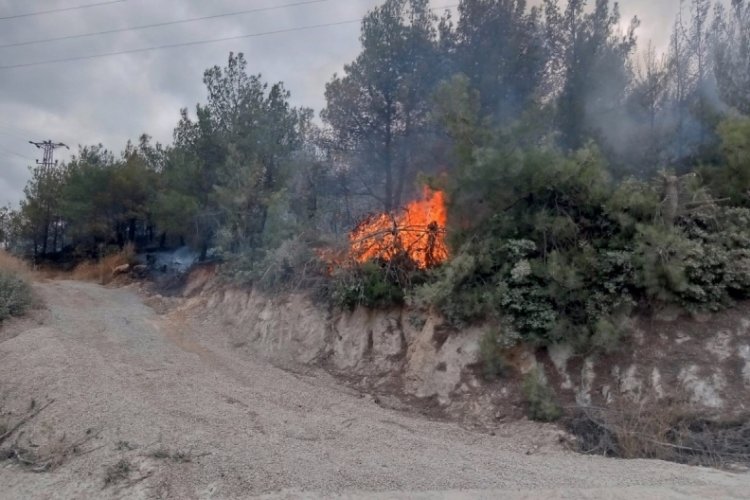 &Ccedil;anakkale'de orman yangını!