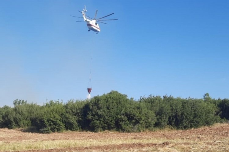 Afyonkarahisar'da &ccedil;ıkan orman yangını kontrol altına alındı