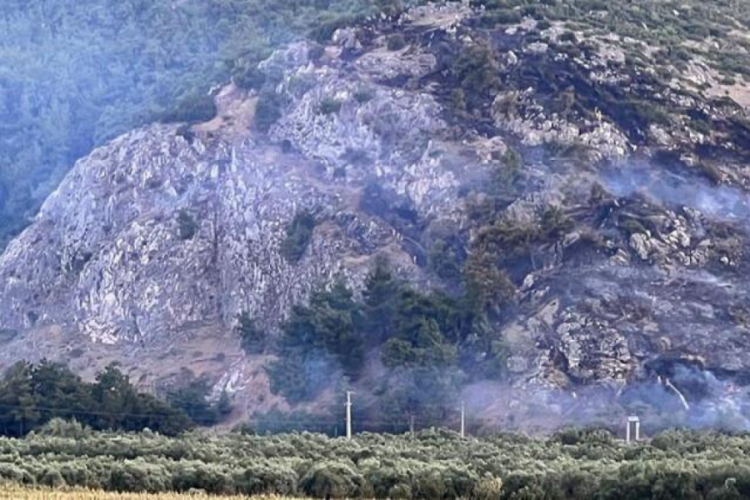 Manisa'daki orman yangını kısa s&uuml;rede kontrol altına aldı