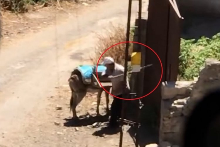 Diyarbakır'da i&ccedil; acıtan g&ouml;r&uuml;nt&uuml;ler! Eşeğe uygulanan şiddet kameraya yansıdı