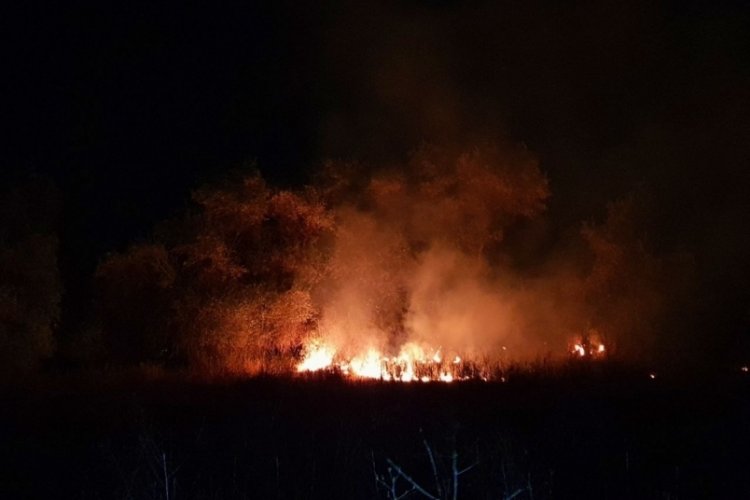 &Ccedil;orum'daki anız yangını! Y&uuml;zlerce ağa&ccedil; k&uuml;l oldu