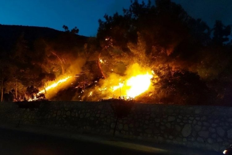 Amasya'da &ccedil;ıkan orman yangını s&ouml;nd&uuml;r&uuml;ld&uuml;