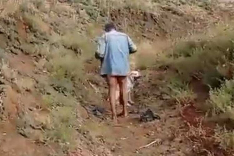 Şanlıurfa'da iğren&ccedil; olay! K&ouml;peğe tecav&uuml;z ederken yakalandı