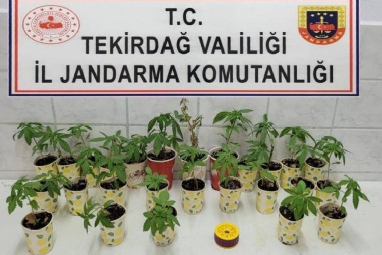 Tekirdağ'da jandarmadan uyuşturucu operasyonları: 5 g&ouml;zaltı