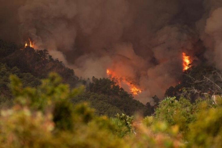 İspanya'nın Tenerife Adası'ndaki yangın b&uuml;y&uuml;yor