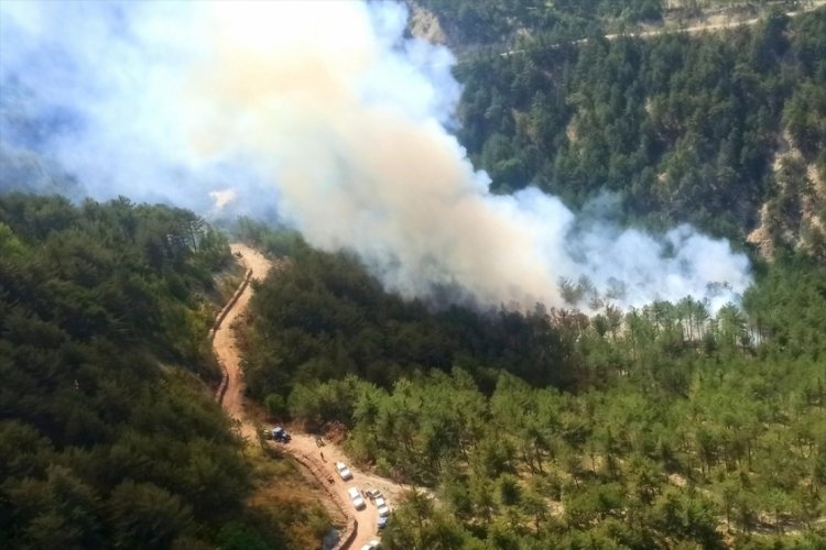 Bolu'da orman yangını başladı