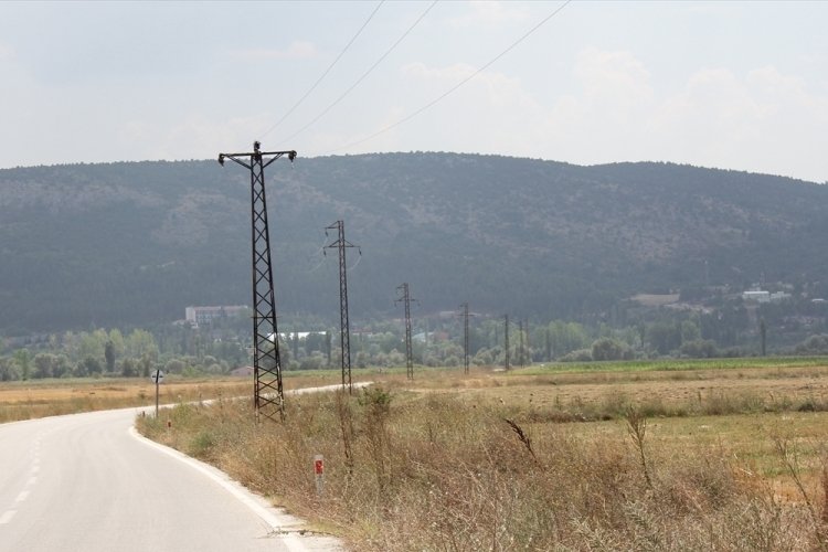 K&uuml;tahya'da elektrik akımına kapılan 50'ye yakın leylek telef oldu
