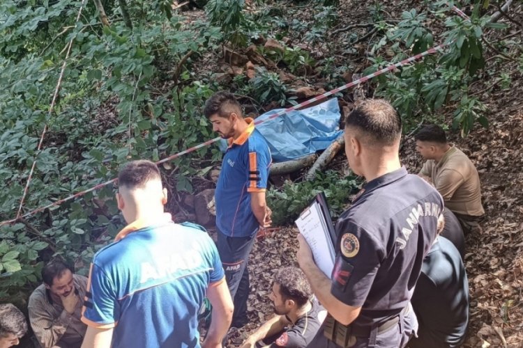 Bartın'da &uuml;zerine ağa&ccedil; devrilen adam &ouml;ld&uuml;