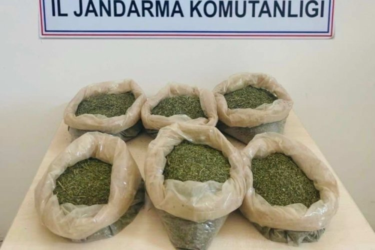 Bing&ouml;l'de 3 kilo esrar ele ge&ccedil;irildi