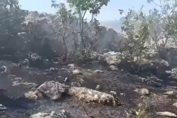 Mardin'de orman yangını, 2 saatte s&ouml;nd&uuml;r&uuml;ld&uuml;
