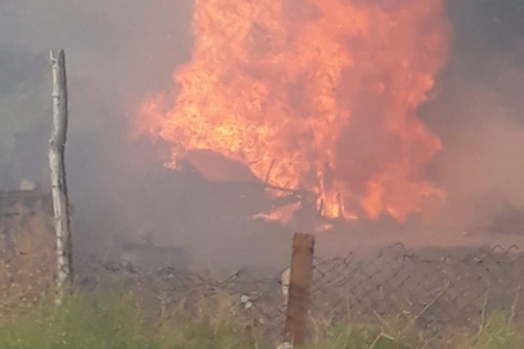 Başkent'te kırsal alanda korkutan yangın