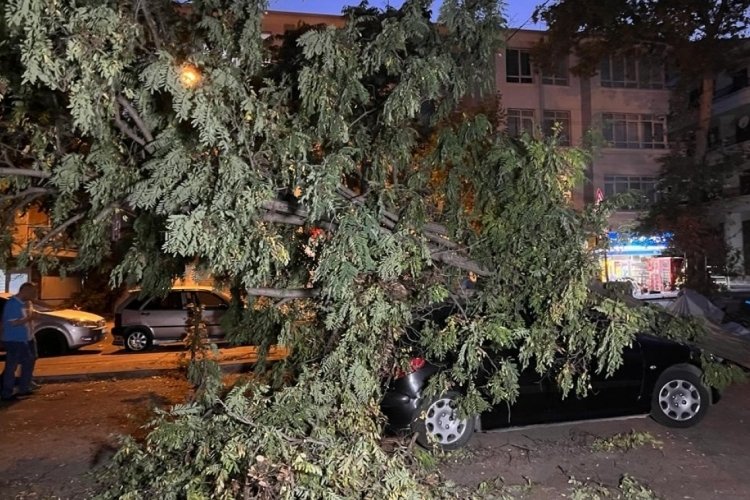Ankara'da fırtına etkili oldu