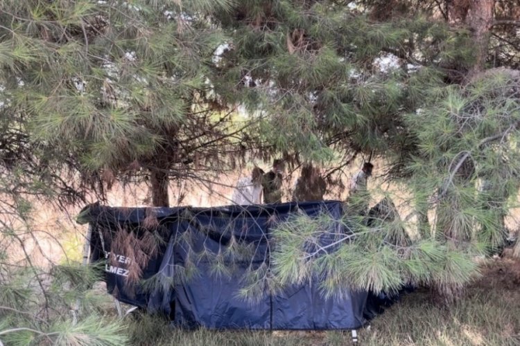 Bursa'da elektrik trafosuna bakım i&ccedil;in gelen iş&ccedil;iler ceset buldu!