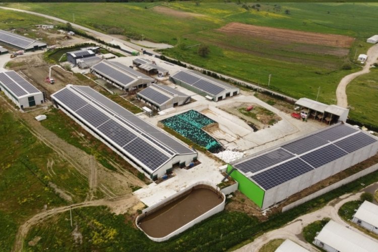 CW Enerji panelleri ile bir firma daha kendi enerjisini &uuml;retmeye başladı